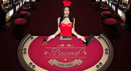 galera bet casino